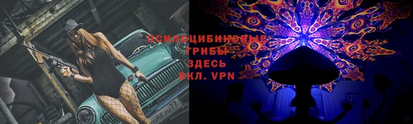 прущие грибы Пестово