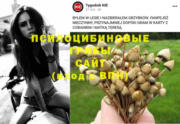 гидропоника Переславль-Залесский