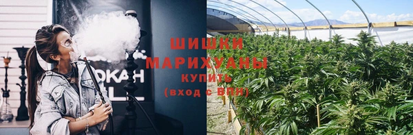 ПСИЛОЦИБИНОВЫЕ ГРИБЫ Заволжск
