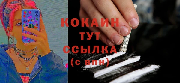 прущие грибы Пестово
