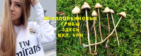 гидра Заволжье