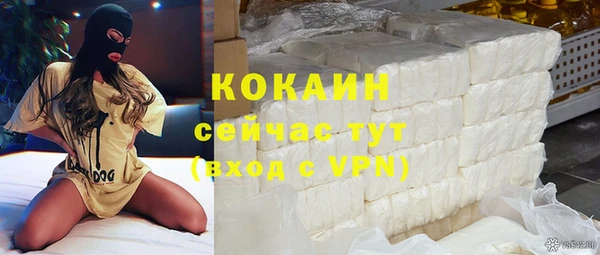 прущие грибы Пестово