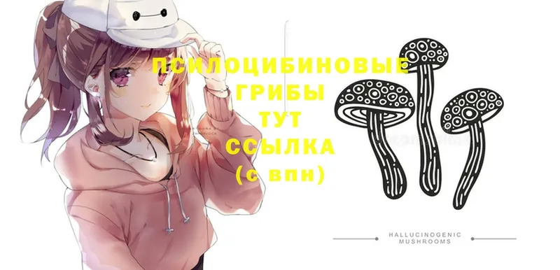 Галлюциногенные грибы Psilocybe  Красноуральск 